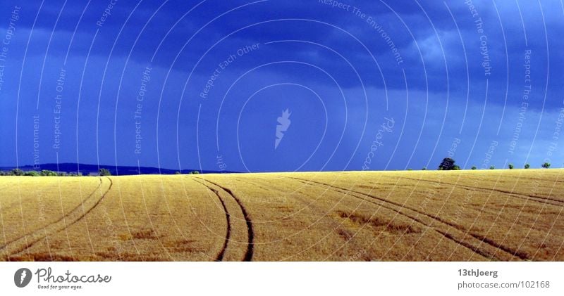 Blauwettergelb Feld Wolken Horizont Landwirtschaft Deutschland blau Himmel Ernte Spuren Wetter Farbe Kontrast