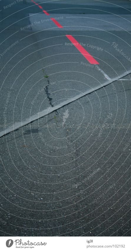 unterbrochen rot vs. konstant weiß Muster Untergrund Beton Teilung Abteilung Hochformat Am Rand Grenze scheckig Geometrie Gegenteil entgegengesetzt unbeständig