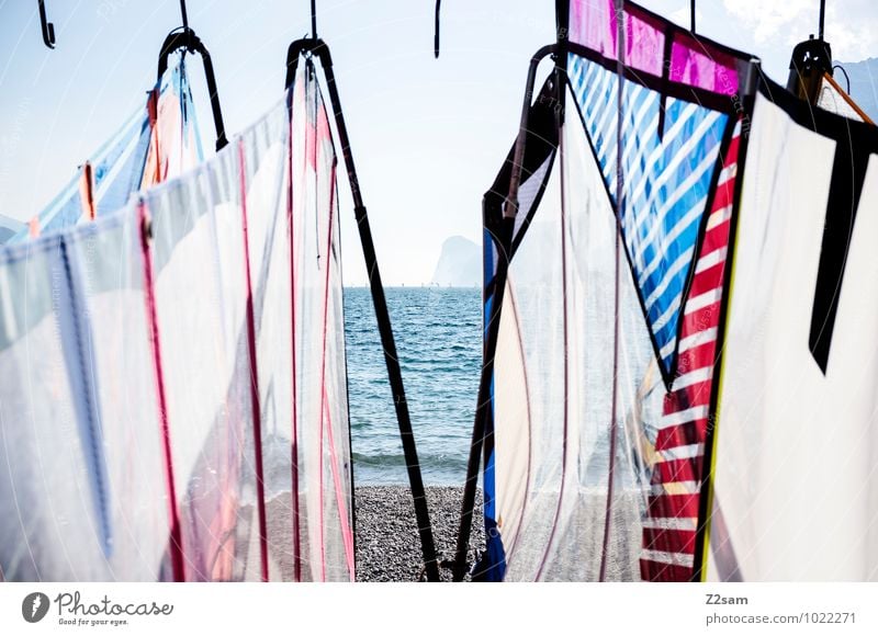 An die Segel, fertig los! Lifestyle elegant Stil Freizeit & Hobby Ferien & Urlaub & Reisen Tourismus Abenteuer Sommer Sommerurlaub Wassersport Windsurfing