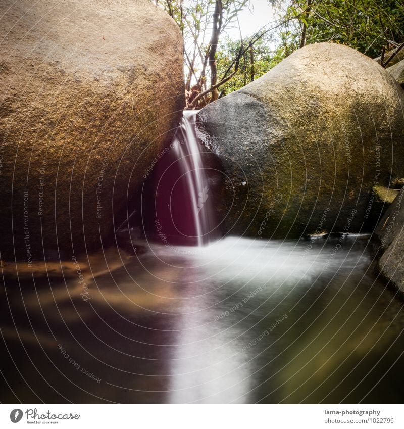 Quell des Lebens Wasser Urwald Felsen Bach Fluss Wasserfall Nationalpark Khao Sok Thailand Asien nass Erfrischung Farbfoto Außenaufnahme Reflexion & Spiegelung