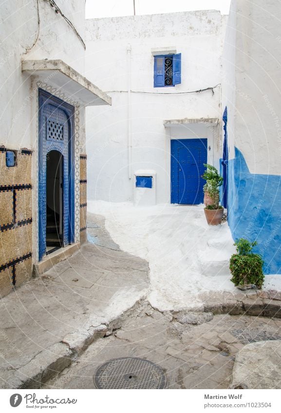 Kasbah de Oudaïa Rabat Marokko Afrika Altstadt Haus Ferien & Urlaub & Reisen Häusliches Leben blau weiß Gasse Außenaufnahme Menschenleer Tag