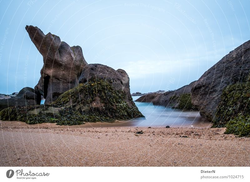 Gebilde Umwelt Landschaft Urelemente Sand Luft Wasser Himmel Küste Meer Atlantik Ploumanach Frankreich Europa Menschenleer blau braun schwarz Strand Felsen