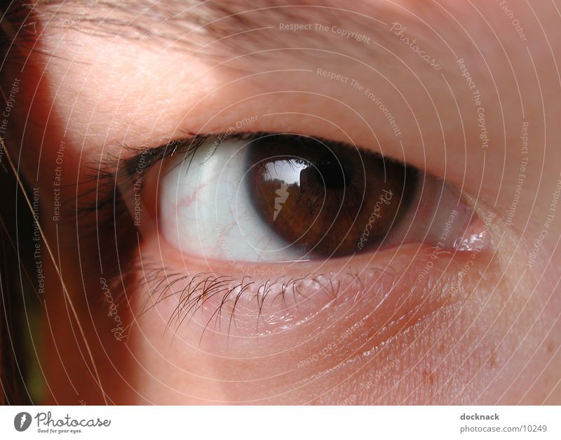 Auge mit Kontaktlinse Makroaufnahme Mensch Blick