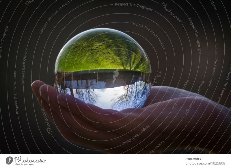 Gläserne Welt Glaskugel Natur Gras Wiese Erde Kristalle Ball durchsichtig natürlich Reflexion & Spiegelung Spiegelbild Hand festhalten Mann Himmel Baum