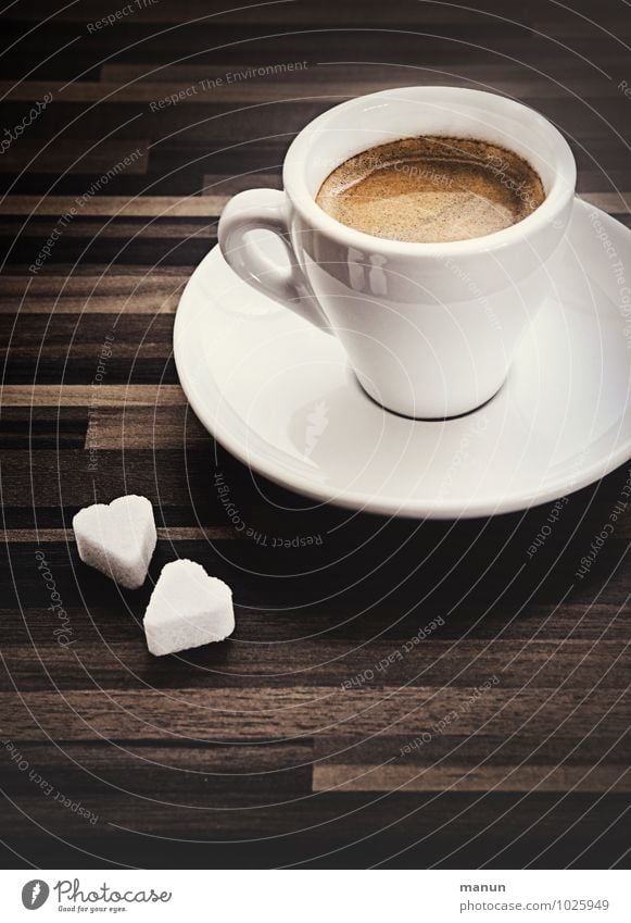 klein, stark, schwarz Lebensmittel Zucker Kaffeetrinken Italienische Küche Getränk Heißgetränk Espresso Tasse Lifestyle Flüssigkeit frisch Gesundheit heiß