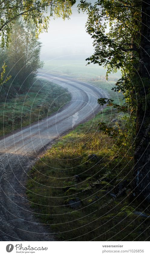 road to boda Landschaft Straße Schotterstraße ruhig Neugier Hoffnung Glaube entdecken Idylle Stimmung Wege & Pfade Werbung Ziel Zukunft Farbfoto Außenaufnahme