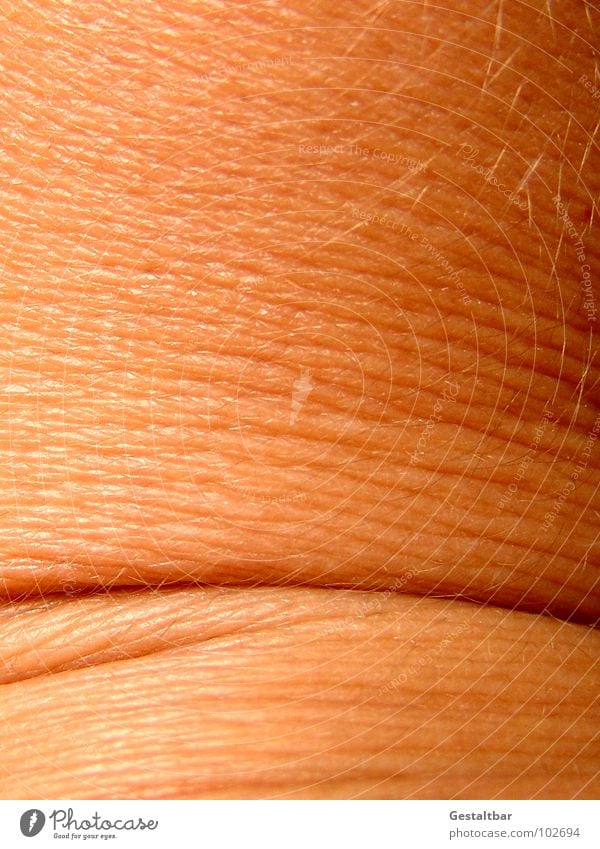 Hautsache. Gelenk Hautfarbe Dermatologie Anatomie gestaltbar Makroaufnahme Nahaufnahme Gesundheit Falte Strukturen & Formen verrenken Verrenkung Hautkunde