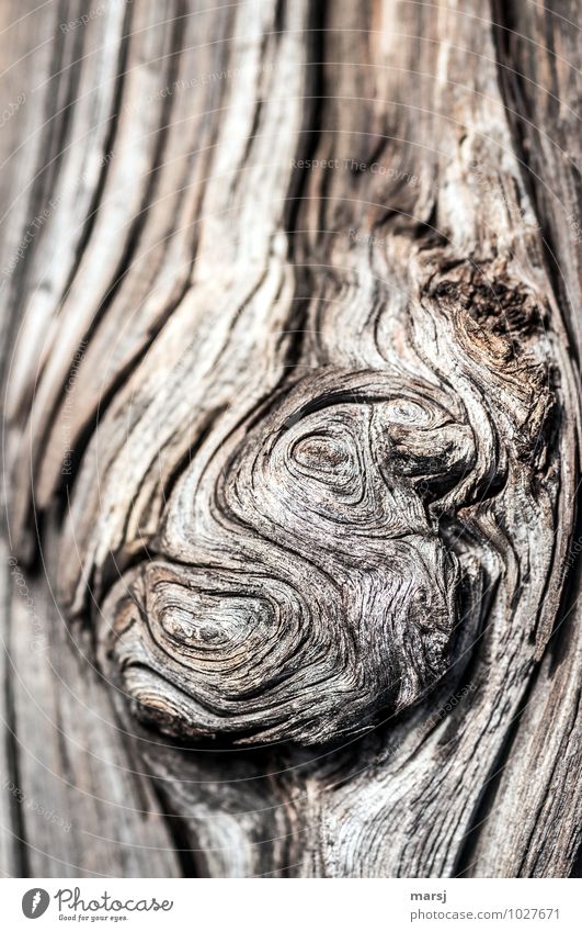 knorrig Natur Holzbrett alt dunkel authentisch einfach einzigartig natürlich braun durcheinander knotig eigenwillig Lebenslinie verwittert Patina undefinierbar