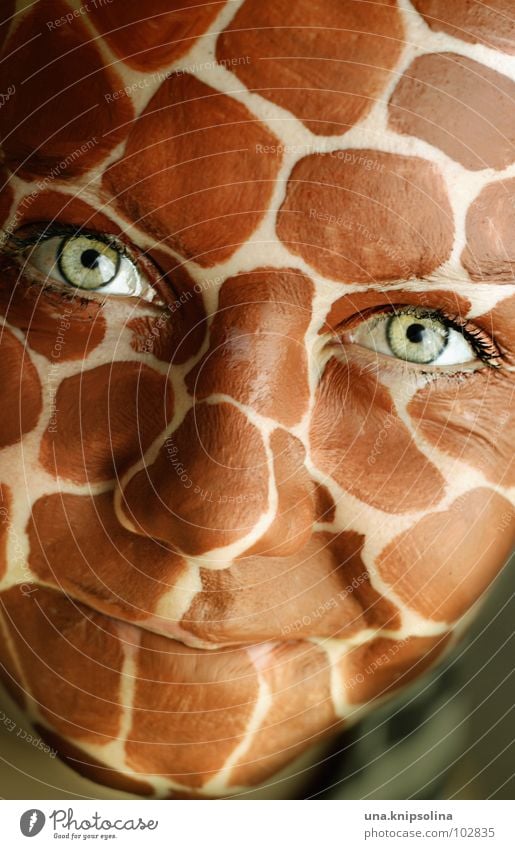 grins Gesicht Auge Mund lachen Freundlichkeit Fröhlichkeit grün Wimpern Afrika intensiv Lachfalte Giraffe wildlife Fleck kulleräugig grinsen Falte Farbfoto