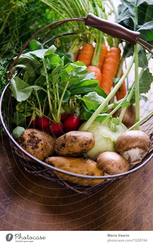 Gemüseallerlei 3 Lebensmittel Ernährung Bioprodukte Vegetarische Ernährung Diät Gesundheit Küche dreckig frisch lecker natürlich Gemüsekorb Gemüsegarten