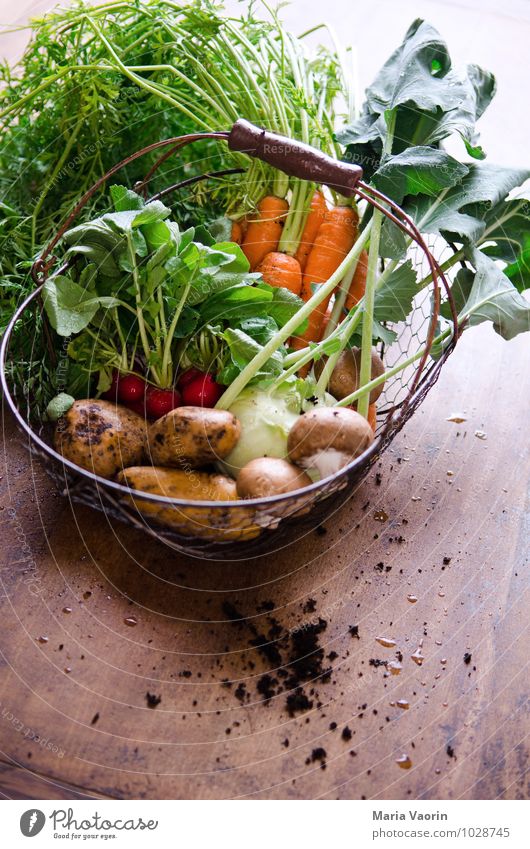 Gemüseallerlei 4 Lebensmittel Ernährung Bioprodukte Vegetarische Ernährung Diät Gesundheit Küche Erde dreckig frisch lecker Gemüsegarten Gemüsemarkt