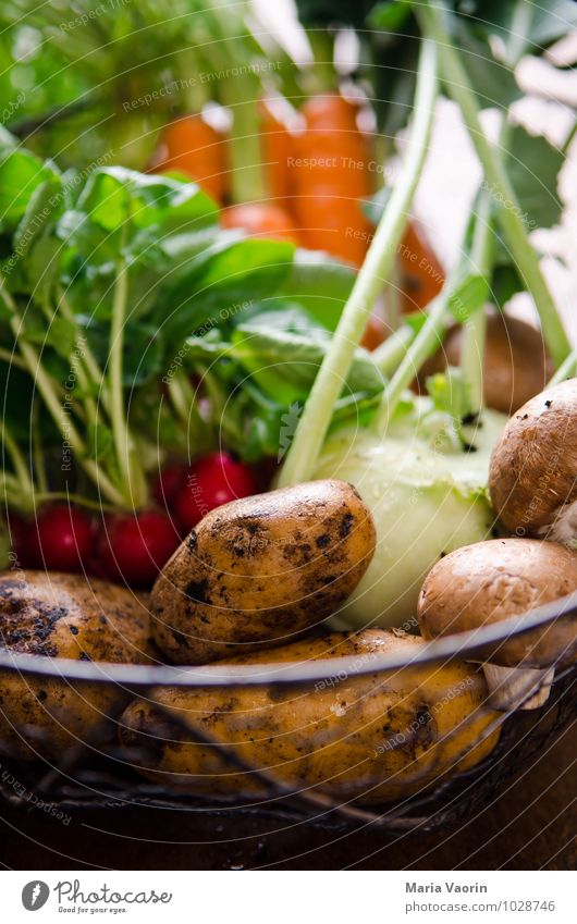 Gemüseallerlei 5 Lebensmittel Gesundheit Essen natürlich Möhre Kartoffeln Champignons Pilz Kohlrabi Radieschen Gemüsegarten Gemüsegerichte Gemüsemarkt Ernährung