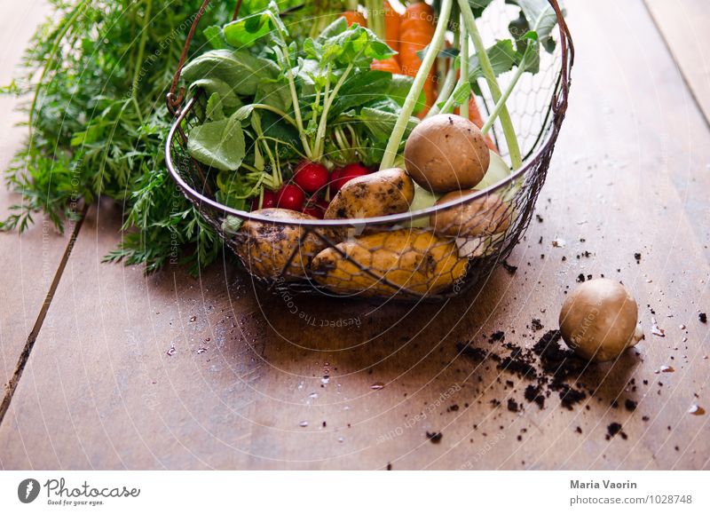 Gemüsekorb Lebensmittel Essen Bioprodukte Vegetarische Ernährung Diät Gesundheit Gesunde Ernährung Natur Erde frisch natürlich genießen Möhre Kartoffeln