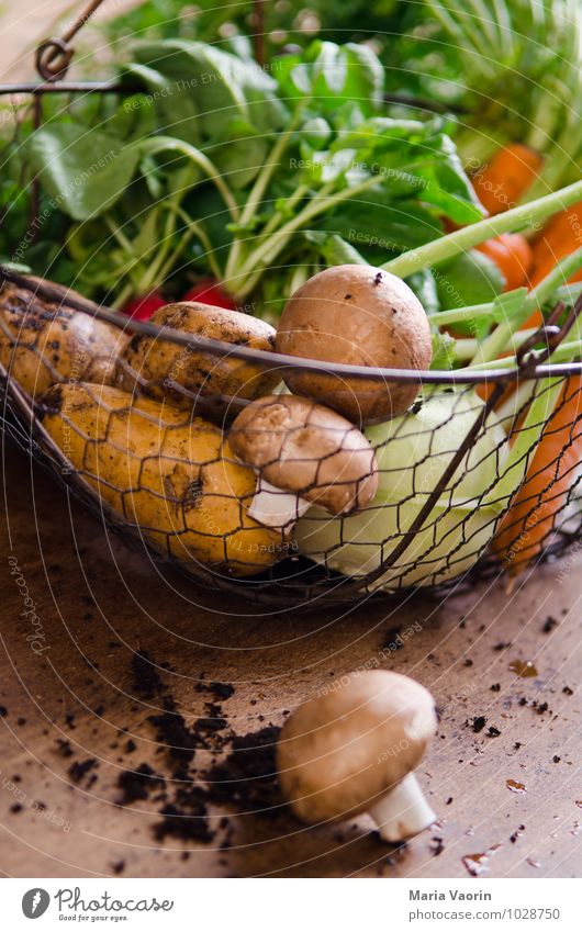 Gemüseallerlei 6 Lebensmittel Vegetarische Ernährung Diät Gesundheit Gesunde Ernährung Essen Erde frisch natürlich Kartoffel Möhre Champignons Kohlrabi