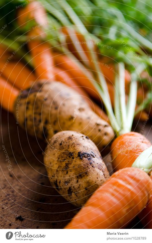 Gartengemüse 5 Lebensmittel Gemüse Ernährung Essen Bioprodukte Vegetarische Ernährung Diät Gesundheit Gesunde Ernährung Erde frisch natürlich Möhre Kartoffeln