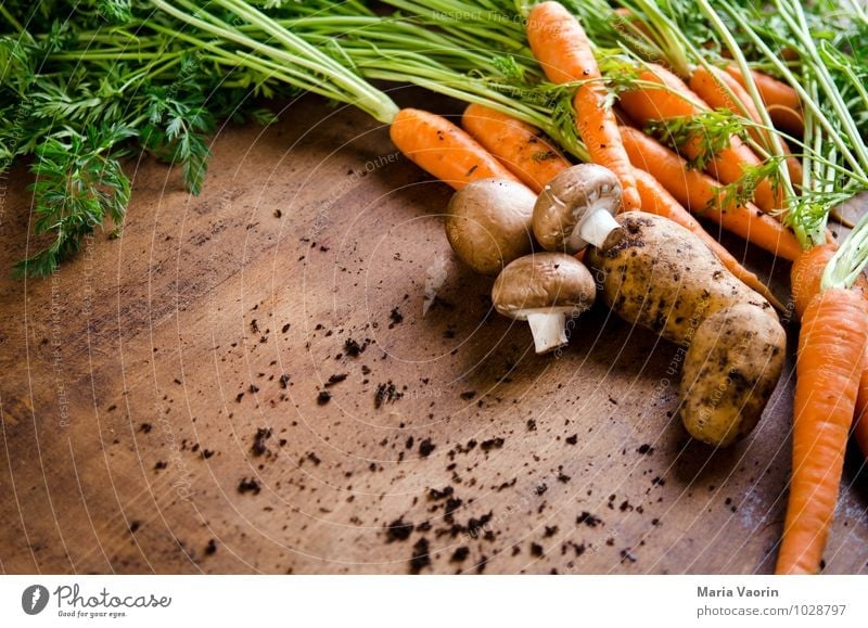 Gemüseallerlei Lebensmittel Ernährung Vegetarische Ernährung Diät Gesunde Ernährung Küche Nutzpflanze dreckig Duft Gesundheit saftig Pilz Champignons Kartoffeln