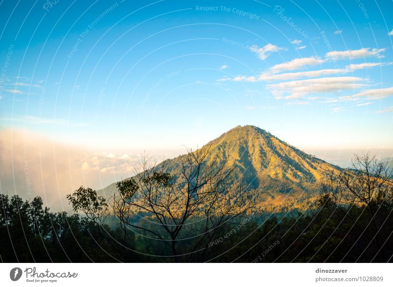 Kawah Ijen Berge Ferien & Urlaub & Reisen Tourismus Berge u. Gebirge Mann Erwachsene Natur Landschaft Wolken Nebel Baum Wald Felsen Vulkan See blau gefährlich