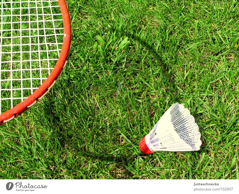 Schattenspiel Spielen Spielzeug Badminton Gras Sport Außenaufnahme Bespannung Freizeit & Hobby Federball