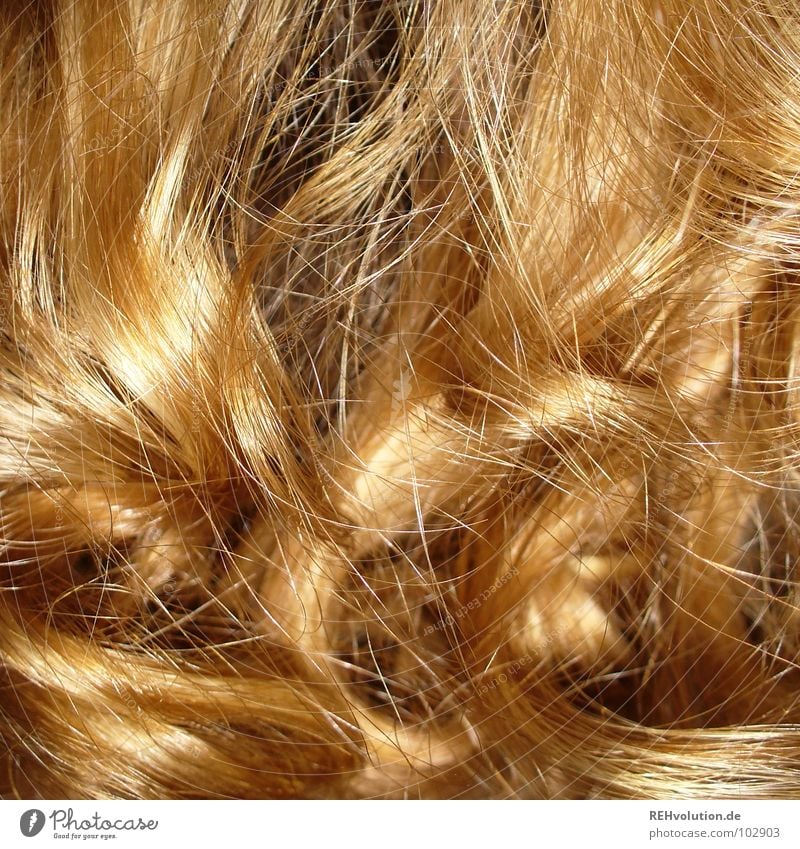 Zauberlöckchen ;-) krause Haare zerzaust Physik Haare & Frisuren Wellen blond langhaarig gewaschen Frau Friseur Schwimmbad Haarschnitt Bad Haarschopf trocken