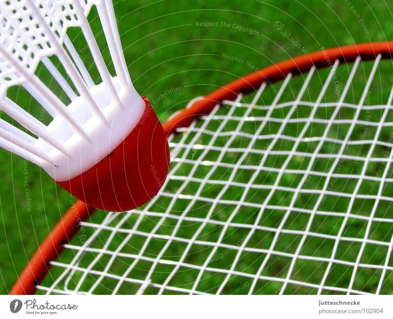 Trampolin Bespannung Badminton grün rot weiß Spielen Spielzeug Sport Federballschläger Ball Außenaufnahme Objektfotografie