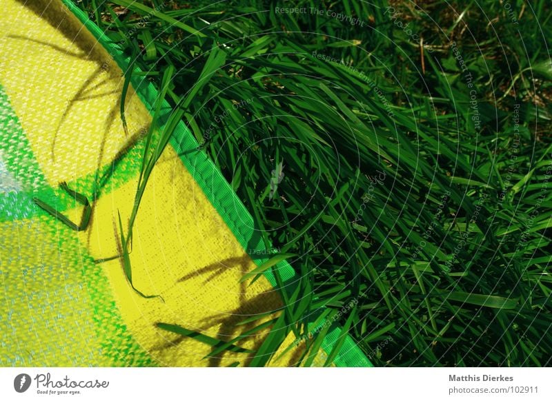 EIN STÜCK SOMMER grün gelb See tauchen Gras Wachstum Liegewiese Wiese braun Sonnenbad Sommer Ecke heiß Physik schön Gute Laune Picknick Nachmittag faulenzen