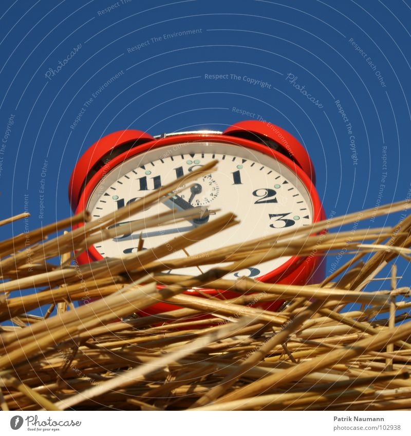 Erntezeit II Wecker Uhr rot Zeit Stroh Strohballen Vergänglichkeit harmonisch Landwirtschaft ländlich zeitlich Himmel Ziffern & Zahlen blau Amerika