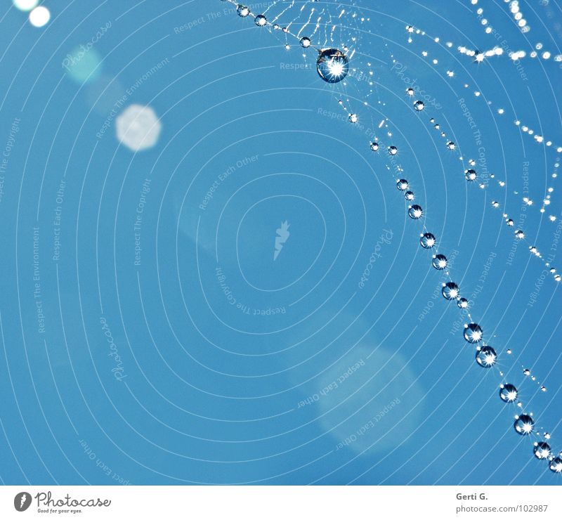 diffus Gegenlicht Lichtpunkt glänzend schimmern heiß Wassertropfen Perlenkette Spinngewebe Stoff kaputt Wandel & Veränderung Platz himmelblau himmlisch