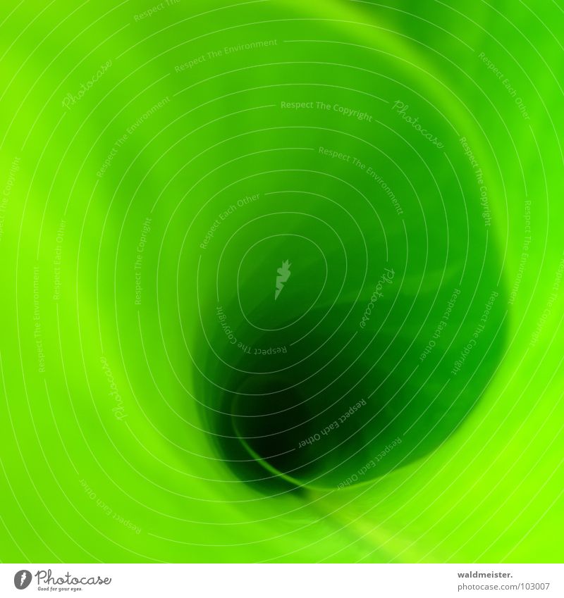 Grüner Strudel Pflanze grün Spirale Wasserwirbel Canna Natur Leben Wachstum Hoffnung Energie Photosynthese Licht Schatten cdcover