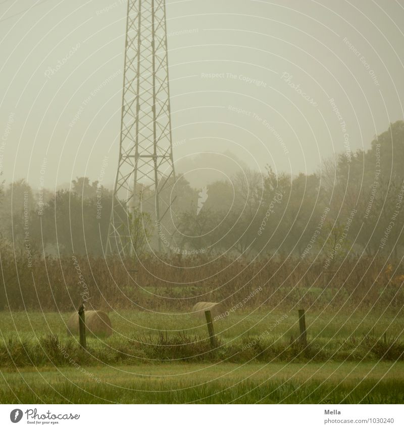 Windstille Technik & Technologie Energiewirtschaft Strommast Umwelt Natur Landschaft Klima Nebel Baum Gras Wiese Weide natürlich grau grün ruhig Zaun Zaunpfahl