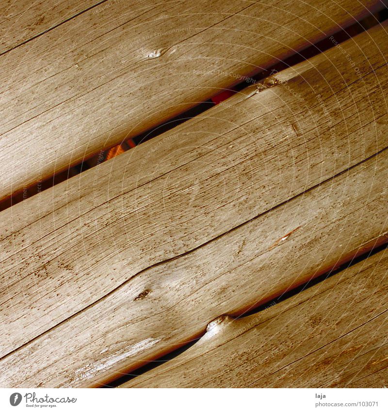 Bis sich die Balken biegen Holz braun Schiffsplanken Baum Vogelperspektive Herbst Natur Freiheit Maserung Holzbrett Strukturen & Formen natürlich