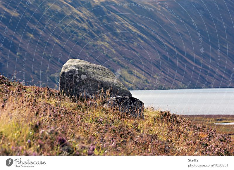 Spätsommer in Schottland nordisch karg nordische Natur nordische Romantik schottisches Wetter nordische Wildpflanzen schottischer Sommer Sommer in Schottland