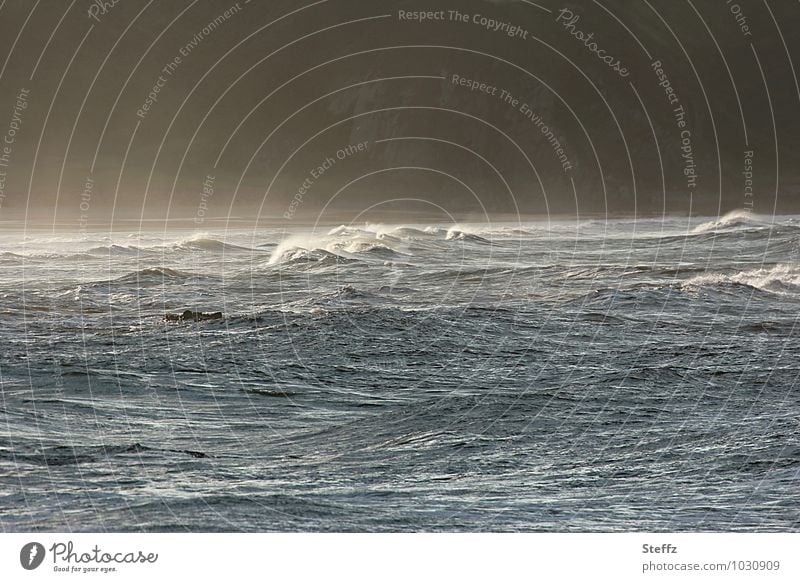 eine Meeresbucht in Schottland Nordsee Nordseeküste nordisch nordische Romantik schottische Natur schottischer Sommer Nebel Nebelschleier Nebelstimmung Wellen