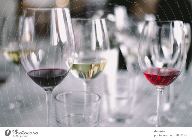 Gläsertanz Getränk Alkohol Wein Sekt Prosecco Glas Lifestyle elegant Stil Design Freude Leben harmonisch Freizeit & Hobby Tisch Restaurant Club Disco