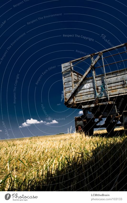 Heuwagen Sommer Stroh Gras Feld blau gelb Landwirtschaft Wolken Außenaufnahme ruhig Natur Himmel Landschaft Ernte Anhänger Textfreiraum oben Blauer Himmel