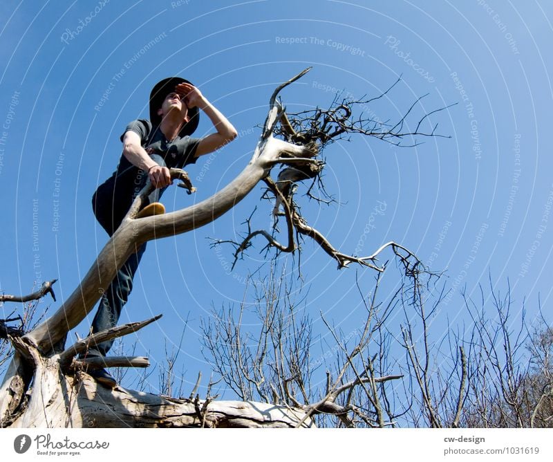 AusBlick - Junger Mann genießt die Aussicht von einem Baum Freude Erholung ruhig Freizeit & Hobby Jagd Ferien & Urlaub & Reisen Ausflug Abenteuer Ferne Freiheit