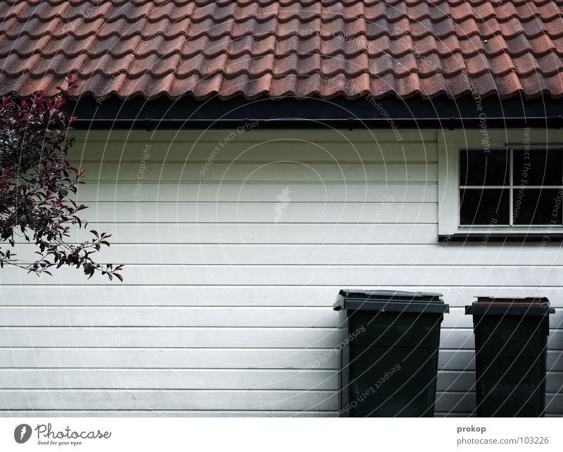 Eigentum? Haus Fenster Dach Müll Müllbehälter Baum Sauberkeit rein steril aufräumen Streifen Holz Einfamilienhaus Trauer Verzweiflung Sicherheit