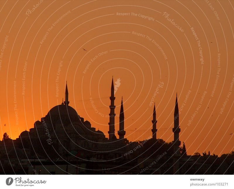 Moschee in Istanbul Sonnenuntergang dunkel Minarett Religion & Glaube Islam Moslem Türkei Asien Europa Bosporus historisch Abend