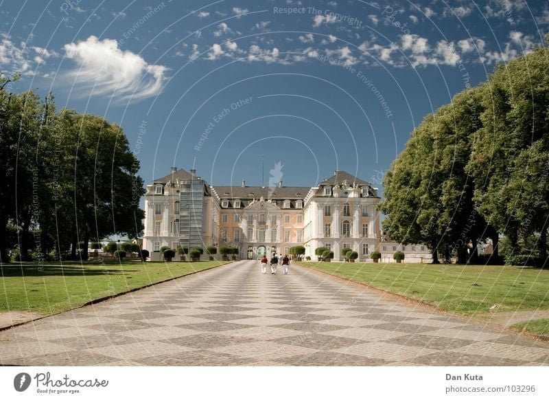 Das Beste kommt zum Schloss Kunst Wolken Watte Rechteck Muster Allee Baum grün Wiese Weitwinkel Ferne groß Macht Dinge Horizont Freizeit & Hobby Wahrzeichen