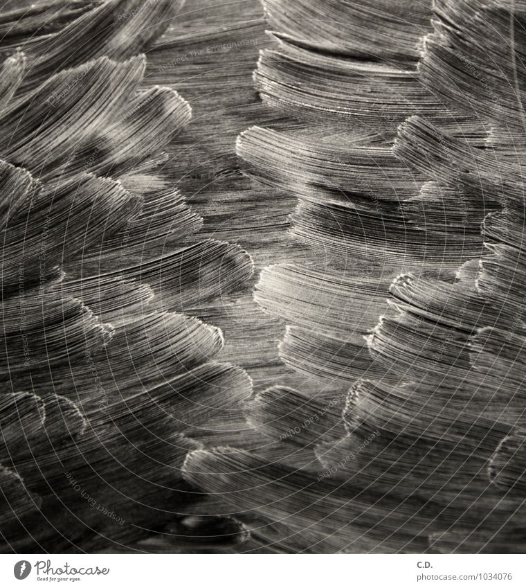 Reiniger auf Cerankochfeld II Glas Kunststoff Bewegung schwarz weiß Wellenform Strukturen & Formen zügellos Sturm Schwarzweißfoto abstrakt Kunstlicht