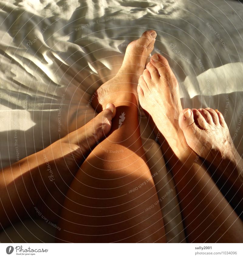 Füße hochlegen... Häusliches Leben Wohnung Bett Schlafzimmer Mensch Paar Beine Fuß 2 berühren genießen Liebe liegen ästhetisch feminin Lebensfreude