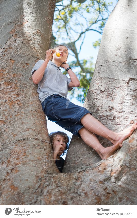 Zwei Teenager klettern in einem Baum Speiseeis Ausflug Junge Junger Mann Jugendliche Geschwister Bruder Kindheit 2 Mensch 8-13 Jahre 13-18 Jahre Natur Himmel