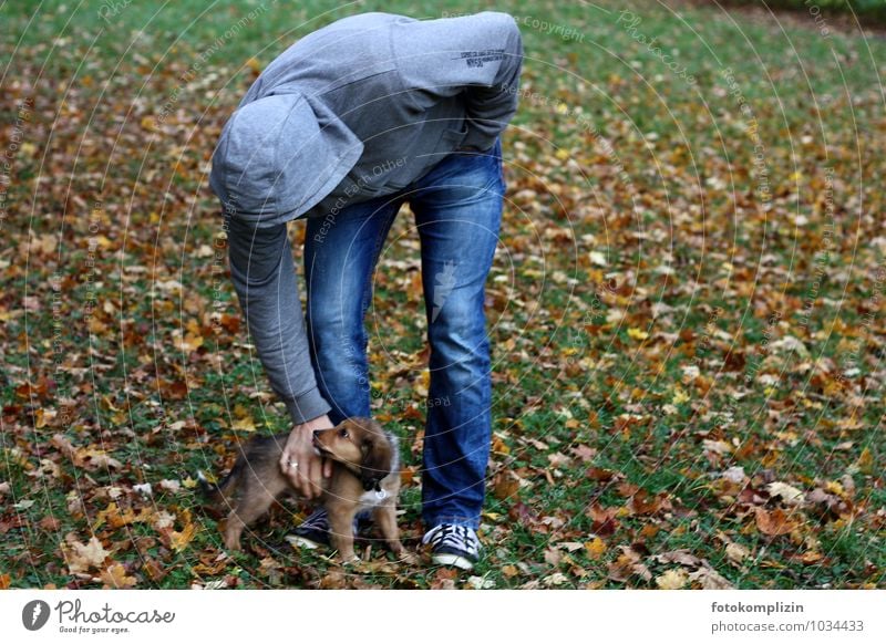 großer Mann und kleiner Hundewelpe berühren Mensch Haustier Mensch und Tier Tierjunges Zusammensein Streicheln Sicherheit Schutz Geborgenheit Einigkeit