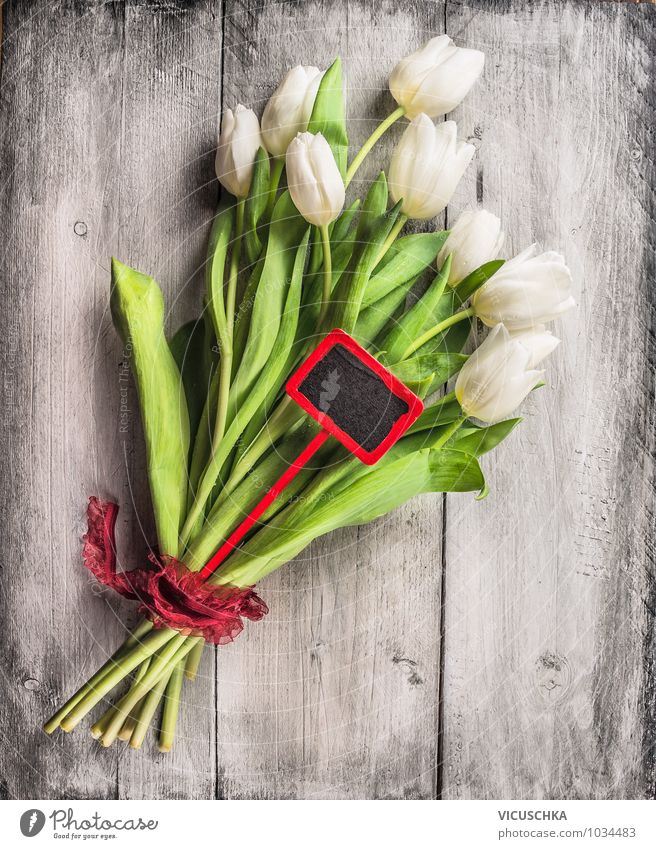 Weise Tulpen Blumenstrauß mit rote Schild Stil Design Garten Feste & Feiern Valentinstag Muttertag Ostern Hochzeit Geburtstag Natur Pflanze Frühling Liebe grün