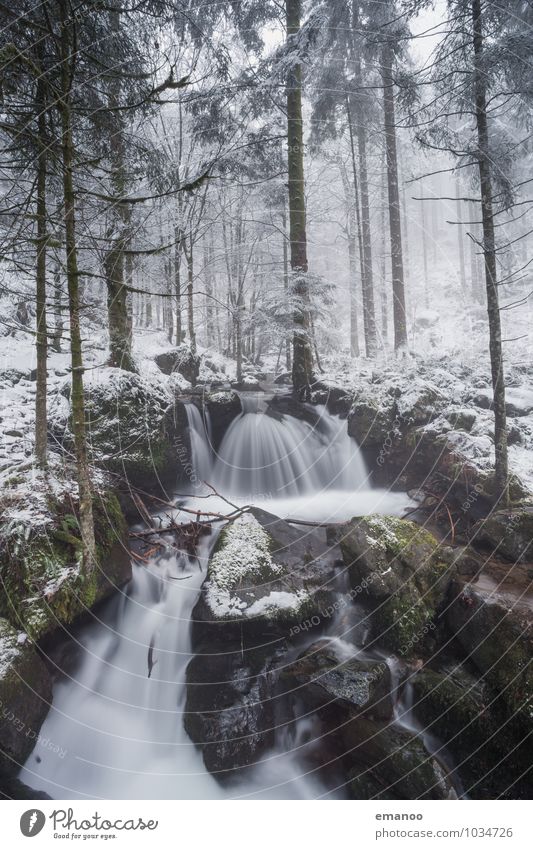 Zastlertal Ferien & Urlaub & Reisen Ausflug Expedition Winter Schnee Berge u. Gebirge Umwelt Natur Landschaft Pflanze Wasser Klima Wetter Eis Frost Baum Moos