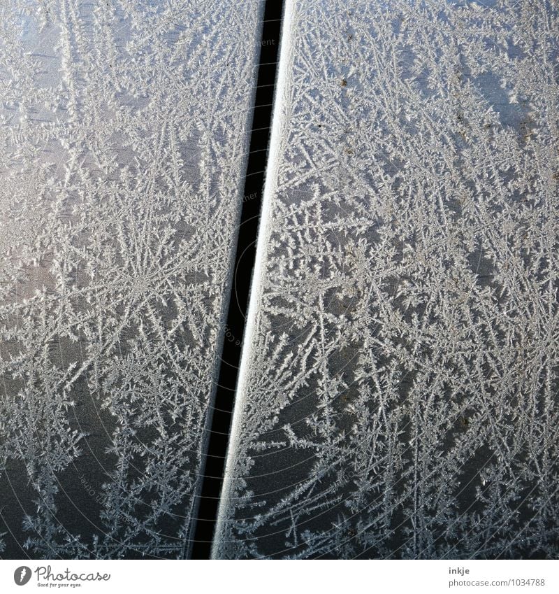 Eisblumen am Auto Winter Klima Wetter Frost PKW Autotür Kristalle Ornament Linie schön kalt Natur Farbfoto Gedeckte Farben Außenaufnahme Nahaufnahme