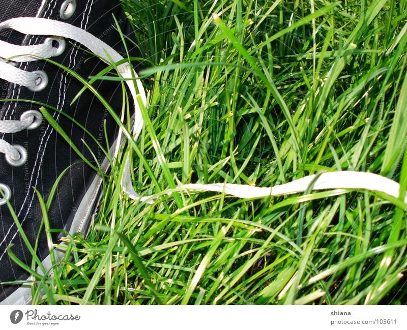Grasschuhe Schuhe Chucks Schuhbänder Sommer Wiese grün schwarz weiß Turnschuh Frühling frisch Naht Bekleidung Glück