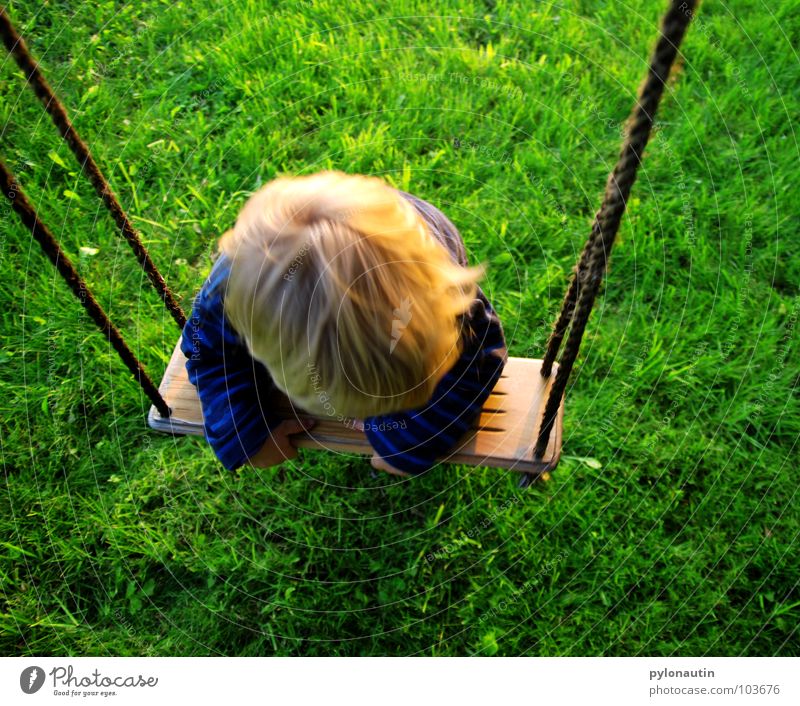 Verschaukelt Kind blond Pullover Schaukel Holzbrett Spielplatz Freizeit & Hobby Spielen Baum Wiese grün Sommer hängen Turnen Hand Kleinkind blau Seil Sisal