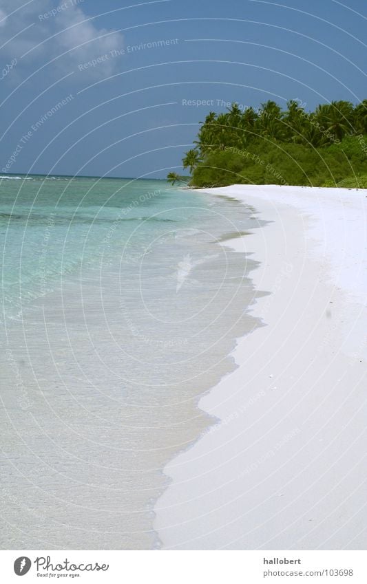 Malediven Beach 01 Meer Ferien & Urlaub & Reisen Strand Küste Wasser traumurlaub Sand maldives