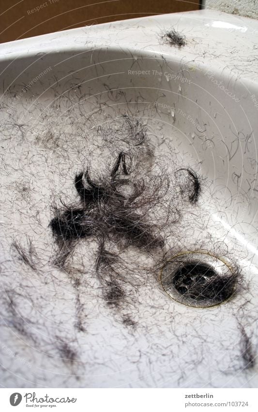 Neue Frisur langhaarig Kurzhaarschnitt Scheitel Waschbecken Haare & Frisuren Tarnung Rasieren mausern Sommer kurz produzieren obskur Dienstleistungsgewerbe