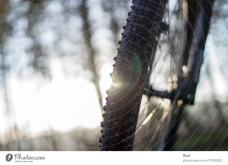 Radtour Sport Fitness Sport-Training Fahrradfahren Mountainbike Mountainbiking Wald Fußweg Reifen Reifenprofil Speichen Bewegung Ferien & Urlaub & Reisen braun